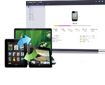 iPad su PC - iPad to PC Transfer